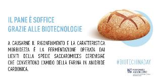 biotechinaday Il pane è soffice grazie alle biotecnologie