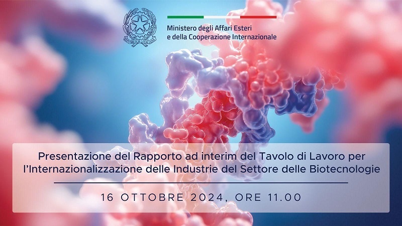 presentazione rapporto tavolo internazionalizzazione