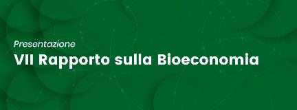 VII Rapporto bioeconomia