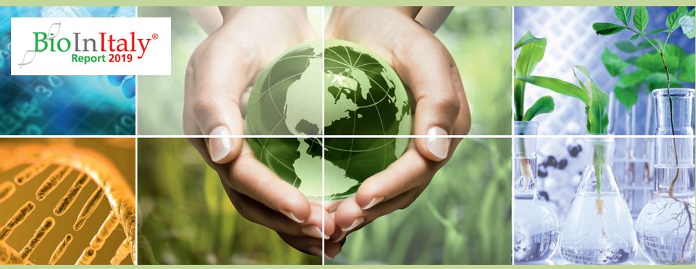 bioinitalyreport 