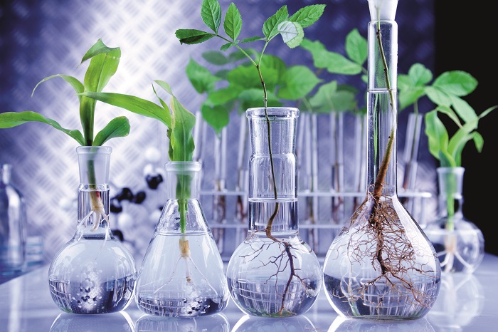 biotecnologie per il pianeta