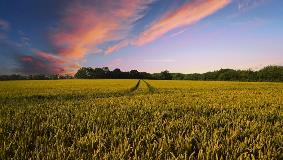studio commissione europea su tecniche di miglioramento genetico vegetale