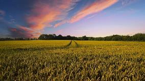 studio commissione europea su tecniche di miglioramento genetico vegetale