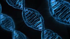 DNA