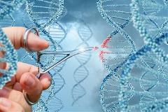 gene editing