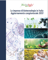 Immagine 2023-07-18 145325