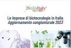 Immagine 2023-07-18 145325
