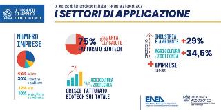 report biotech