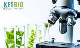 ketbio