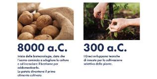storia delle biotecnologie