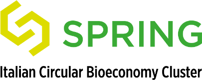logo spring