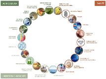 biotecnologie aree di applicazione