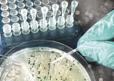 indagine efsa microrganismi biotech