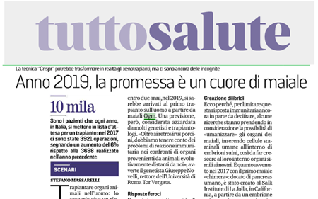 Tutto salute