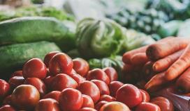 i primati dell'agricoltura italiana - studio fondazione edison