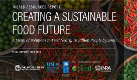 world resources report